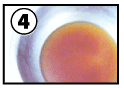 丸4