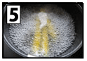 ５
