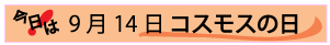 9月14日コスモスの日